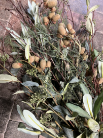 Zijden TOEF  >  D.   70 cm