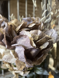 Semprona Mauve 3 bloemig > lengte 80 cm