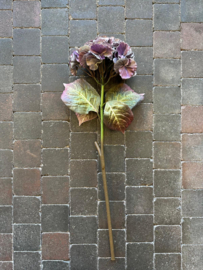 Hortensia zacht lila 70 cm