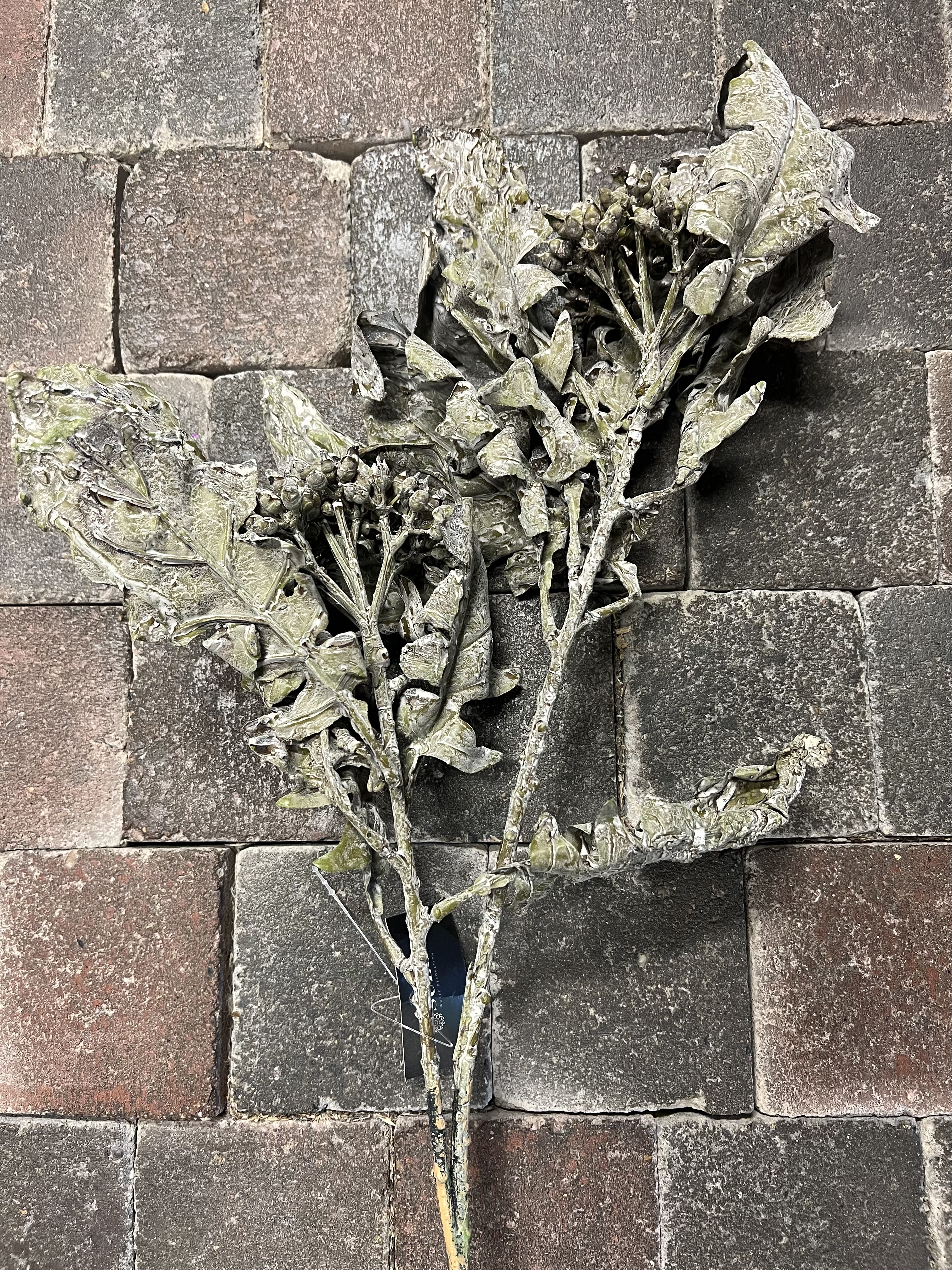 Sobere tak " Feax Leaf Spray met blad " > grey