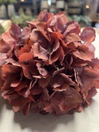 Hortensia 65 cm Sylxz > Bourgondie