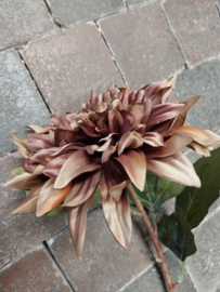 Semporna/Dahlia bruin 66x16cm