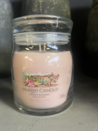 YC Desert Blooms Medium Jar 368g