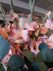 Gladiool mauve 95 cm