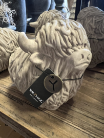 Scottish Highlander Maj.Taupe