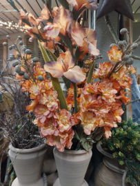 Gladiool mauve 95 cm