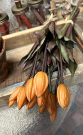 Tulpen Oranje/Terra  dichte knop  > bos van  7 stuks , lengte  45 cm