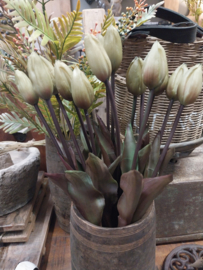 Tulpen Groen dichte knop > bos van 7 stuks , lengte 45 cm