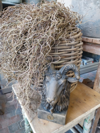 Twig dried wood ( bundel ) bush 90 cm