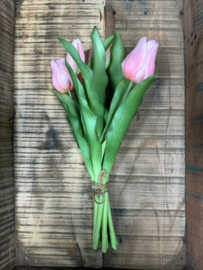 Tulpen bos/7  Pink 30 cm