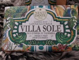 Blokzeep " Villa Sole " Fico d'India di Taormina