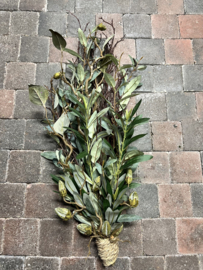 Toef “ deLuxe “ 85 cm