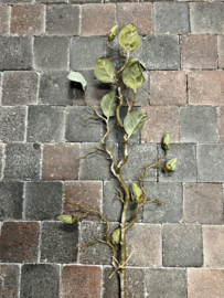 Magnolia in knop > green
