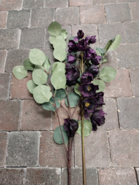 Fritillaria  silk  purple  95cm