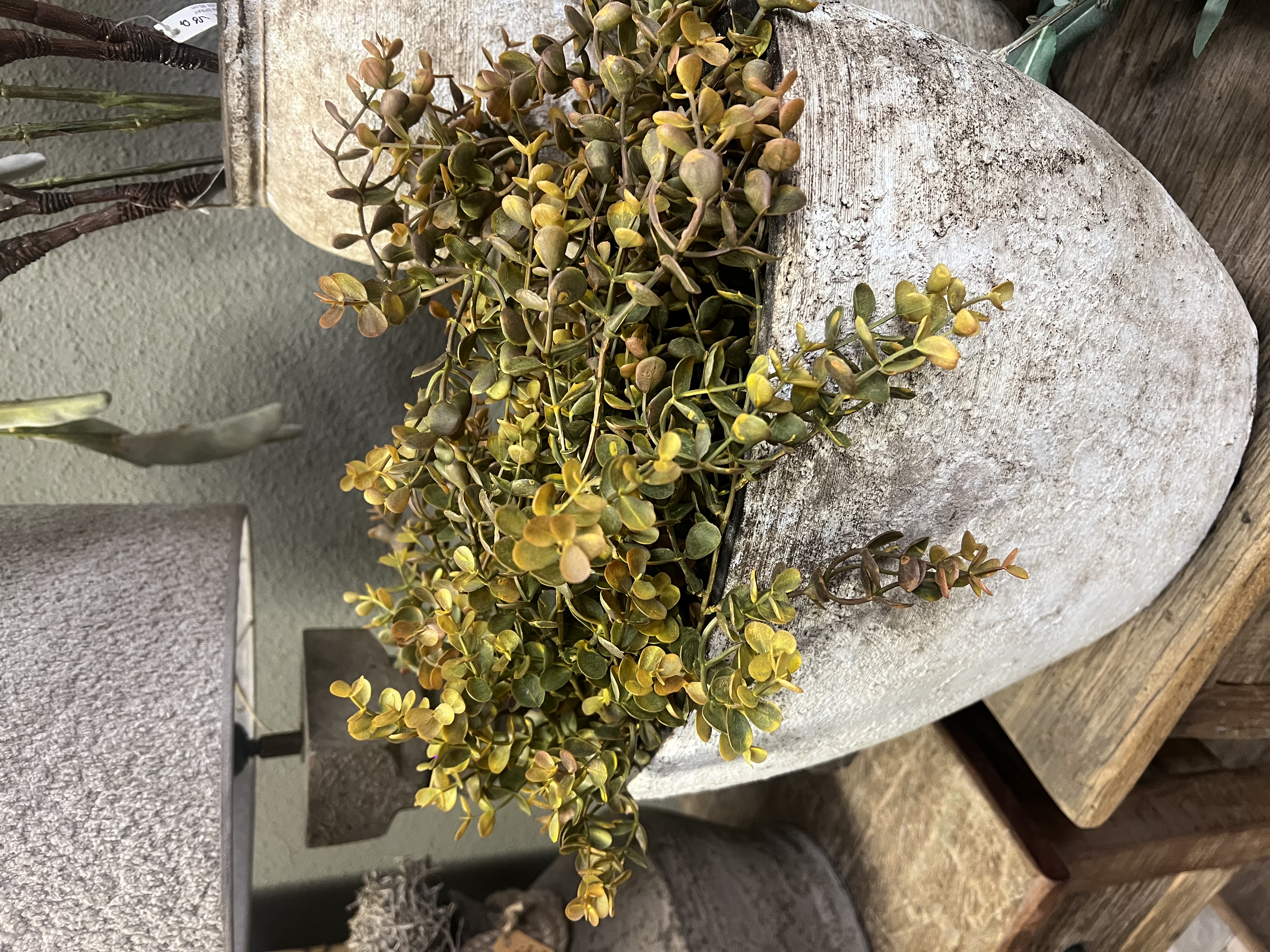 XL toef eucalyptus groen/bruin >