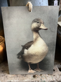 Deco bordje " Eend " staand 21 x 15 cm