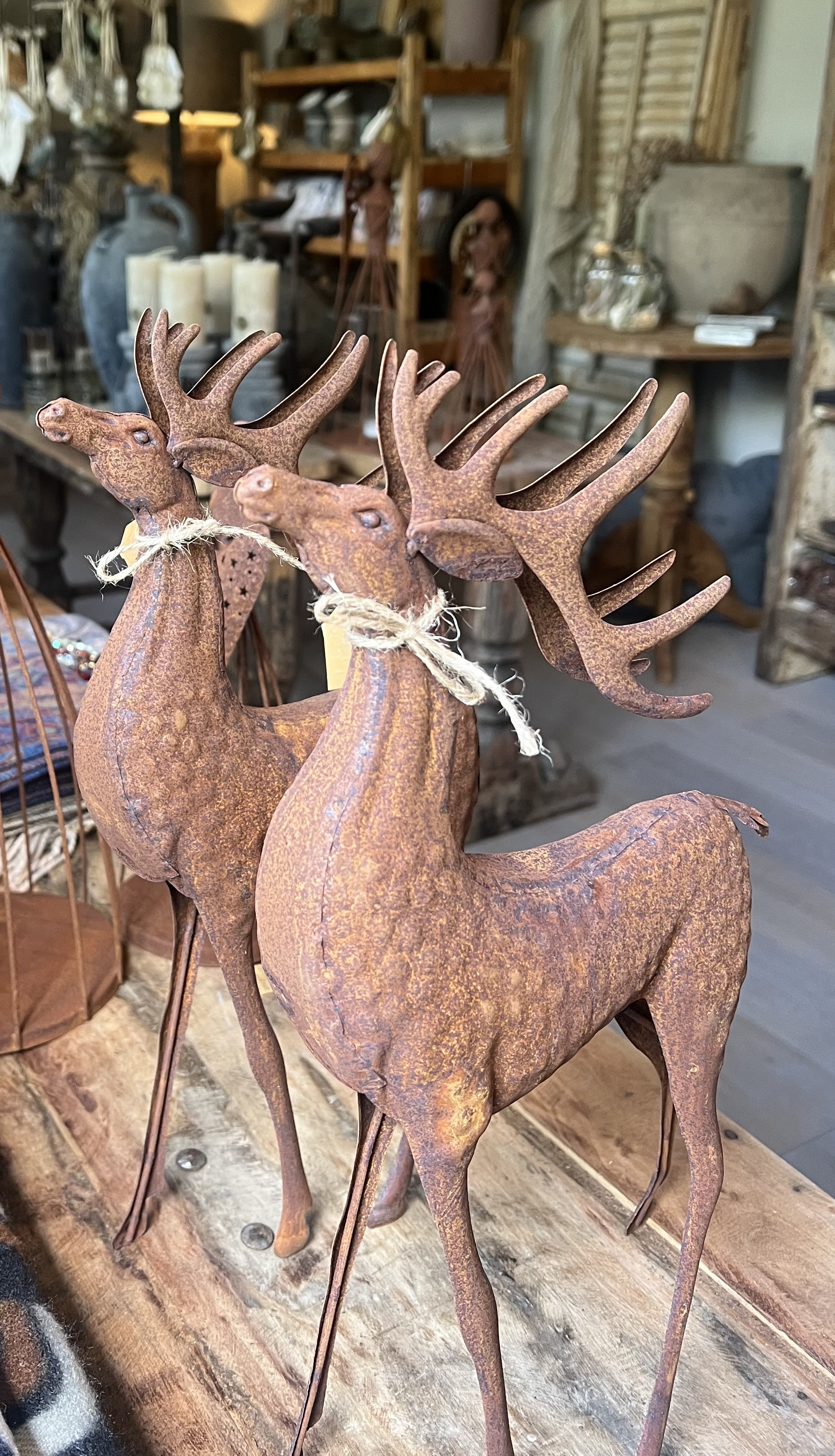 Hert roest " Dolf " h 38 x 20 cm