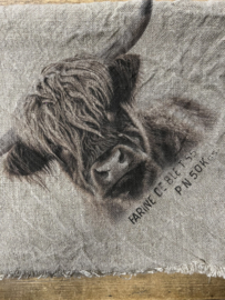 Shabby doek “ Hooglander “ in kleur 45 x 45 cm