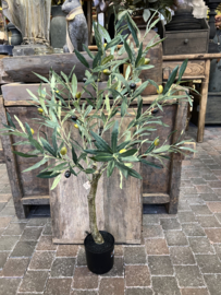 Silk Olive Tree > 90 cm