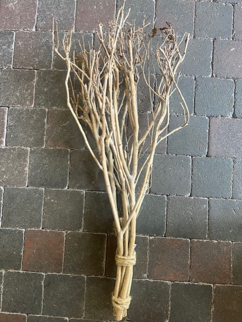 Bundel " Tea Bush "  65 cm