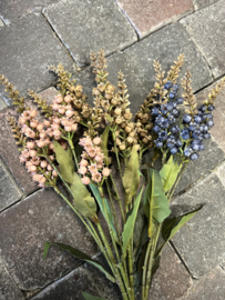 Pieris Spring 3 assorti  > 55 cm Brynxz/Sylxz