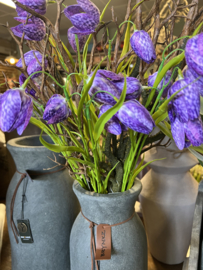 Fritillary ( kievitsbloem ) Flower Purple > 58 cm