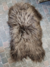 Vacht > 110 cm > IJsland  > kleur Chestnut