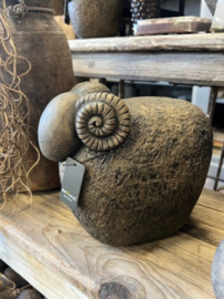 Sheep with horn Majestic Brown L > d 22 x h 20 cm