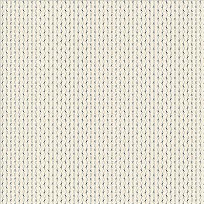 Pint Sized Neutrals 101251D-blue