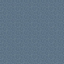 Prairie Dry Goods R171648D-BLUE