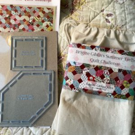 Summer Trellis Quilt Challenge patroon en tamplate set