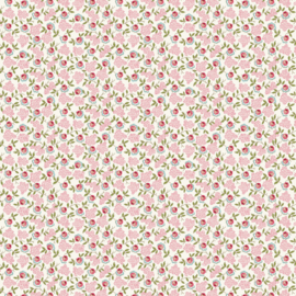 Darling Buds of May DV7659