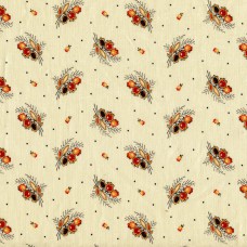 DHER1014 orange rosehip