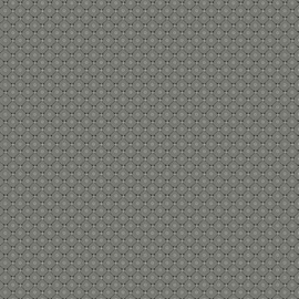 Prairie Dry Goods R171658D GR