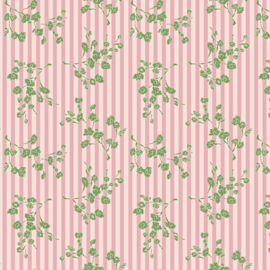 Darling Buds of May DV7654