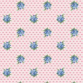 Darling Buds of May DV7660
