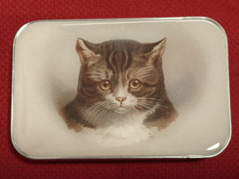 Poes