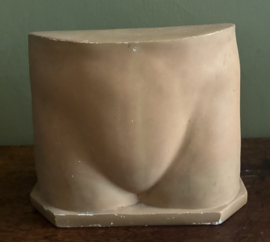Antiek Gipsen Anatomisch Model – Vintage Medische Torso / Bekken (Uniek Curiosum)