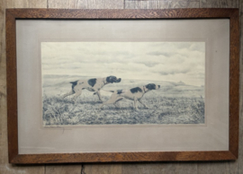 Oude ingelijste Jachthonden prent