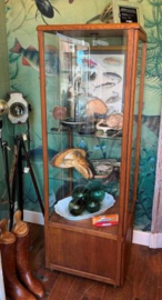Oude Bakkers Vitrine kast (Kast 2)