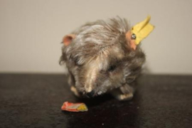 Steiff molletje