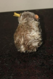 Steiff molletje
