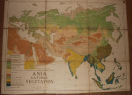 Landkaart Asia "Natural Vegatation"