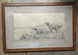 Oude Hondenprent (Jacht honden)