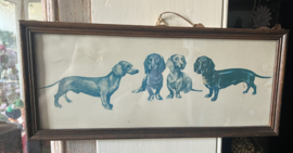 Ingelijste prent Teckels