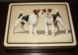 blikje met afbeelding Fox Terriers