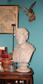 Groot mannelijk gipsen Borstbeeld
