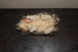 Steiff molletje