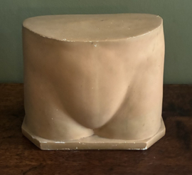 Antiek Gipsen Anatomisch Model – Vintage Medische Torso / Bekken (Uniek Curiosum)