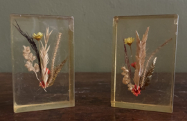 Set van 2 Vintage Acryl Presse-papiers / Bloemenblokken – Pollinex Bencard (Jaren '70/'80) (Epe)